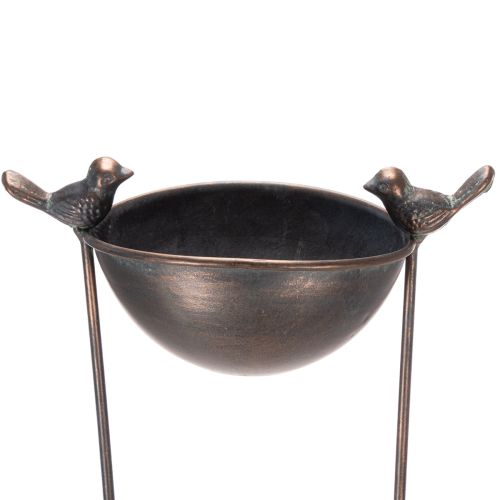 Floristik24 Vasca per uccelli decorativa, fioriera con traliccio, look nostalgico, elegante elemento decorativo da giardino, 75 cm