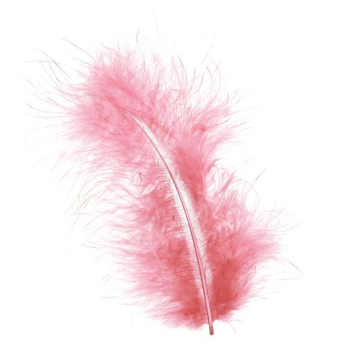 Prodotto Piume di uccelli artigianali in piume rosa primaverili Pasqua 20g