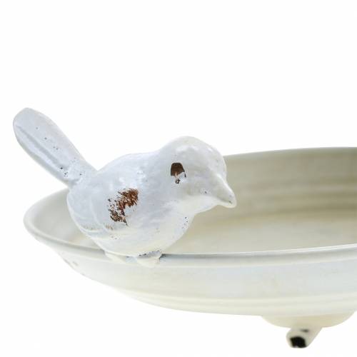 Floristik24 Mangiatoia per uccelli da appendere crema in metallo, griglia Ø21cm H27cm