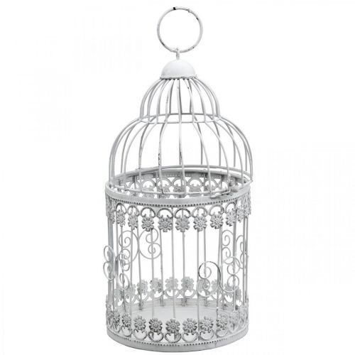 Floristik24 Gabbia per uccelli da appendere voliera decorativa shabby bianca H31,5cm