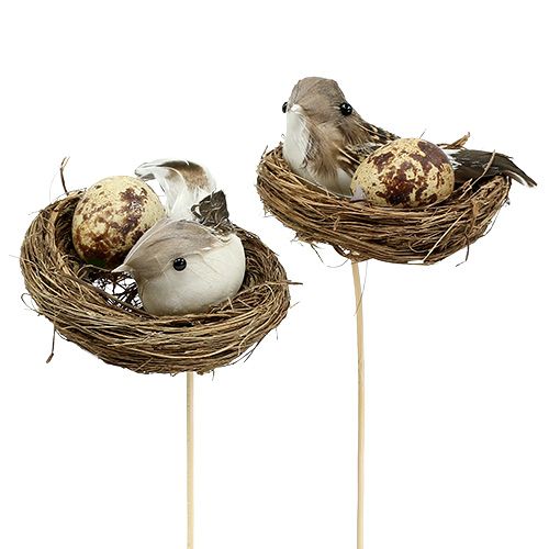 Floristik24 Nido d&#39;uccello su un bastone Ø7cm L24cm 6 pezzi