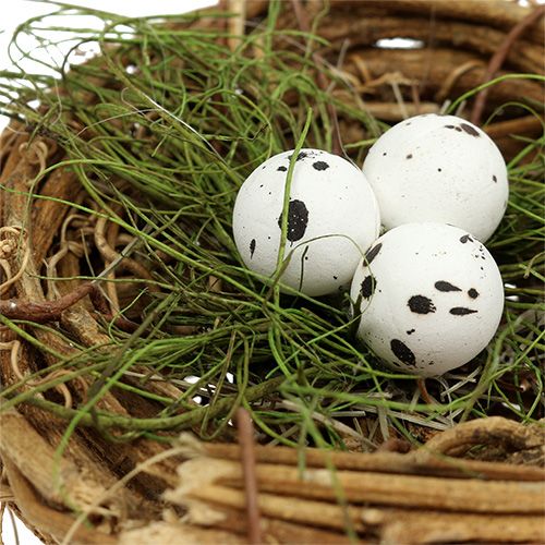 Floristik24 Nido di uccello con uova Ø9cm 6 pezzi