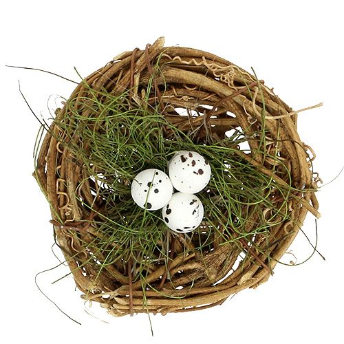 Floristik24 Nido di uccello con uova Ø9cm 6 pezzi