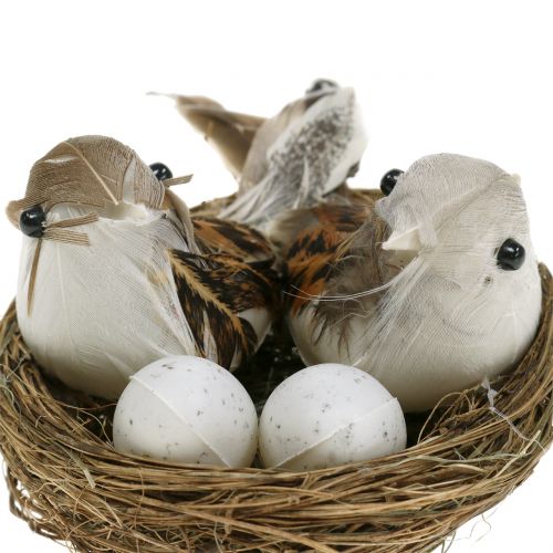 Prodotto Nido d&#39;uccello con uova e uccellino 6pz