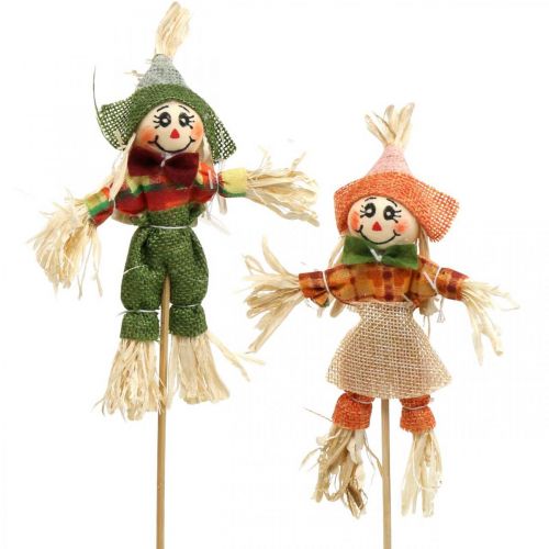 Floristik24 Spaventapasseri da decorare su bastoncino decorazione autunnale 24 pz