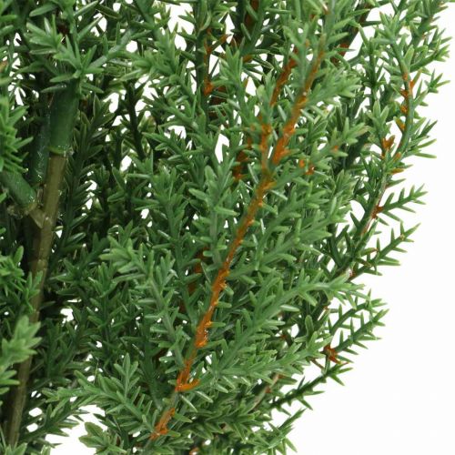 Floristik24 Ramo di ginepro ramo decorativo verde artificiale Natale 39cm 6 pezzi