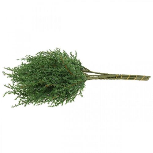 Floristik24 Ramo di ginepro ramo decorativo verde artificiale Natale 39cm 6 pezzi