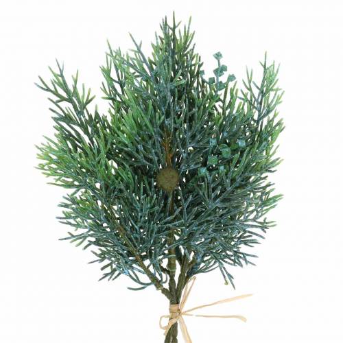 Floristik24 Ramo di ginepro decorativo con coni verde, blu lavato 25 cm 2 pz