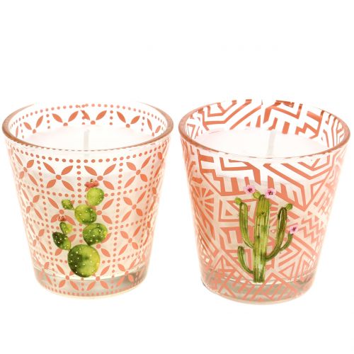 Floristik24 Candela di cera in vetro cactus Ø6.5cm 2pz