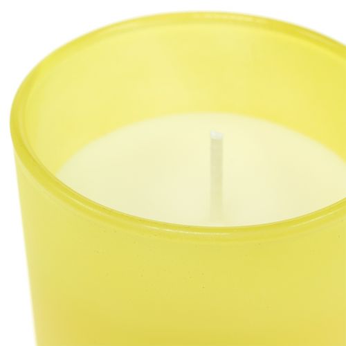 Floristik24 Candela profumata in bicchiere limone-basilico Ø7cm