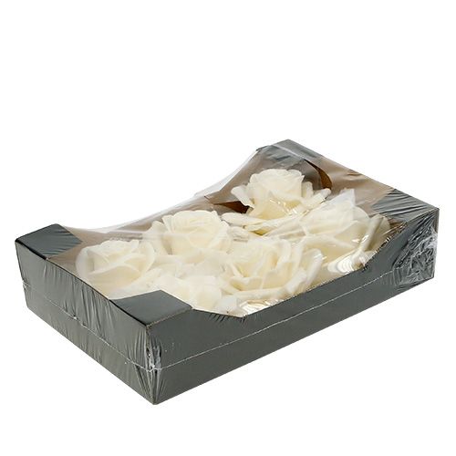 Floristik24 Cera rosa Ø10cm crema 6pz