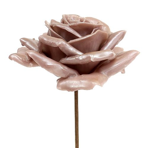 Prodotto Cera rosa champagne mix Ø10cm 6pz