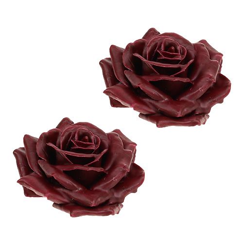 Floristik24 Cera rosa rosso scuro Ø10cm 6 pezzi