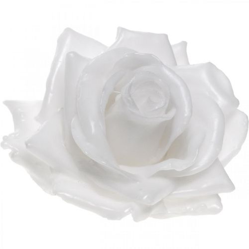 Floristik24 Cera rosa bianca Ø10cm Fiore artificiale cerato 6 pezzi