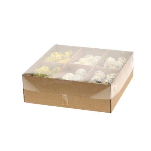 Floristik24 Assortimento di uova di quaglia gialle, naturali 3cm 62pz