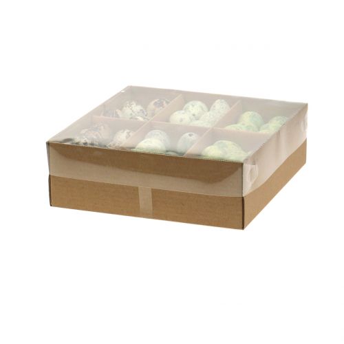 Floristik24 Assortimento uova di quaglia verde, nature 3cm 62pz