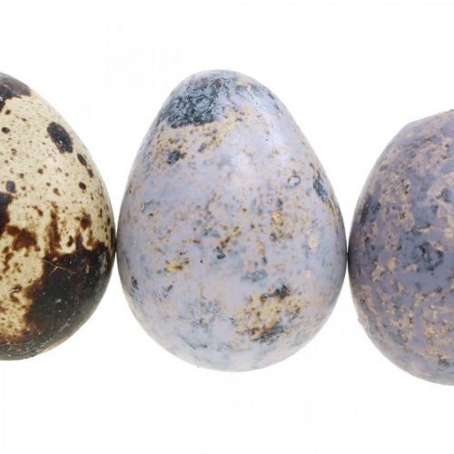 Floristik24 Mix di uova di quaglia viola, viola, natura uova vuote come decorazione 3cm 65p