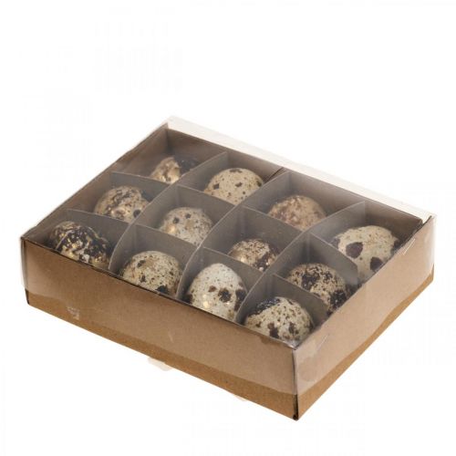 Floristik24 Uova di quaglia Deco Uova soffiate Natura/Oro 3cm 12pz