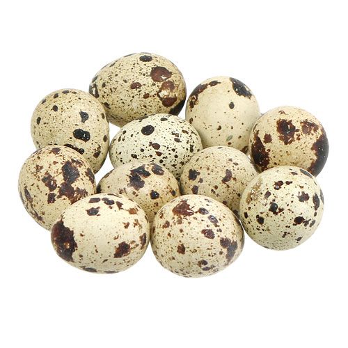 Floristik24 Uova di quaglia al naturale 3-3,5cm 12pz
