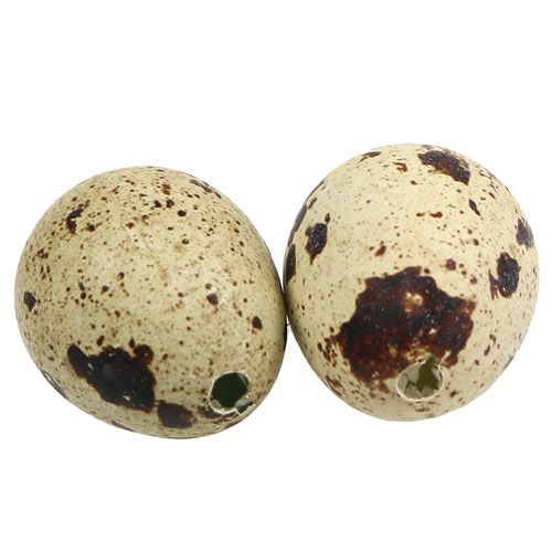Floristik24 Uova di quaglia al naturale 3-3,5cm 12pz