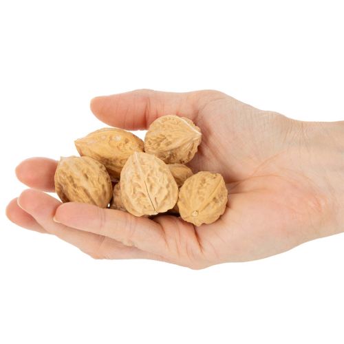 Noci decorative, prodotto naturale, 3-4 cm, 300 g | Floristik24.it