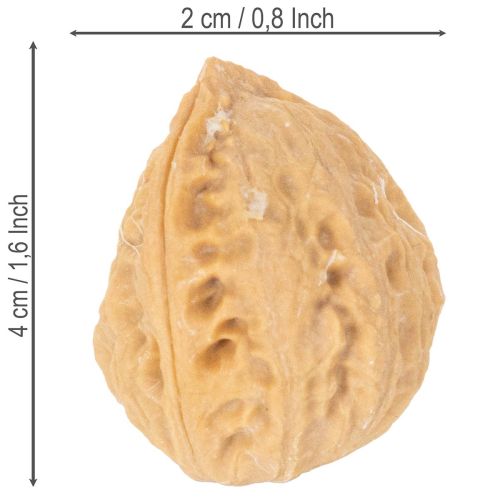 Noci decorative, prodotto naturale, 3-4 cm, 300 g | Floristik24.it