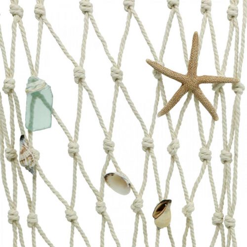 Floristik24 Rete da pesca con relitti, decorazione conchiglia marittima, decorazione da parete L95cm L50cm