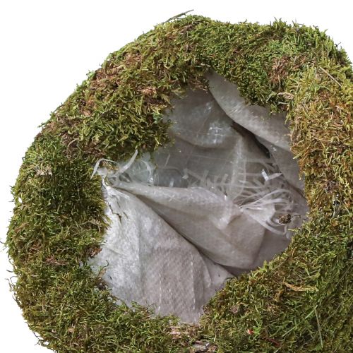 Prodotto Decorazione per albero di Natale in muschio verde naturale Ø25cm H70cm
