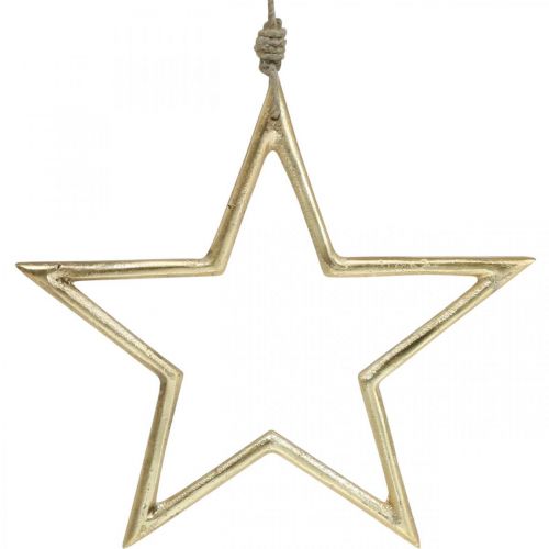 Floristik24 Decorazione natalizia stella, decorazione dell&#39;Avvento, ciondolo stella d&#39;oro B24,5 cm