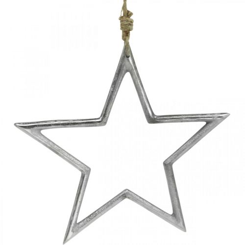 Floristik24 Decorazione natalizia stella, decorazione dell'avvento, ciondolo stella in argento L24,5 cm