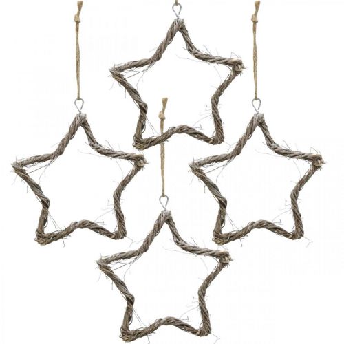 Floristik24 Decorazioni natalizie stelle olmo stelle da appendere bianche 20cm 4pz