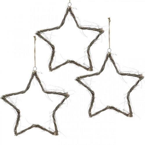 Floristik24 Decorazione natalizia stella stelle bianche da appendere olmo 30cm 4pz