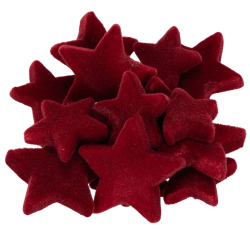 Decorazioni natalizie, stelle, bordeaux floccate, decorazione da tavola, 4-5 cm, 40 pezzi acquistare | Floristik24.it