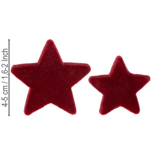 Decorazioni natalizie, stelle, bordeaux floccate, decorazione da tavola, 4-5 cm, 40 pezzi | Floristik24.it