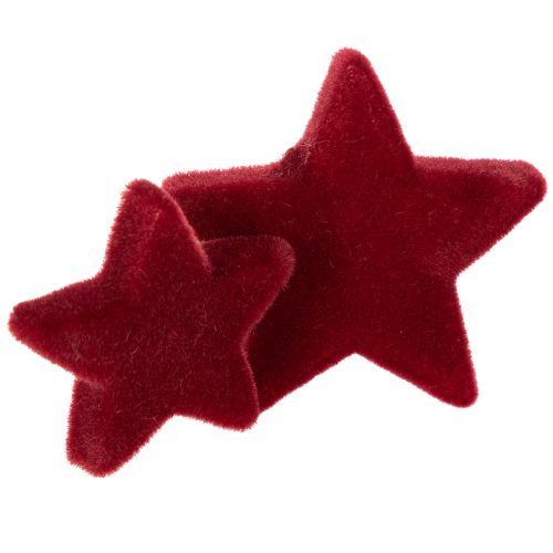 Decorazioni natalizie, stelle, bordeaux floccate, decorazione da tavola, 4-5 cm, 40 pezzi | Floristik24.it