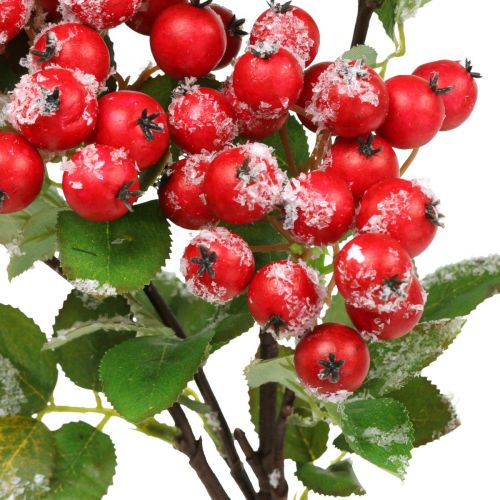 Floristik24 Rami di Natale con bacche rosse, decoro invernale, rosso lampone nevicato L58cm