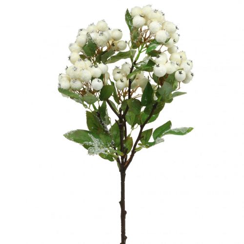 Floristik24 Rami di Natale, snowberry, pianta artificiale innevata L58cm