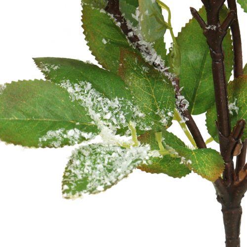 Prodotto Rami di Natale, snowberry, pianta artificiale innevata L58cm