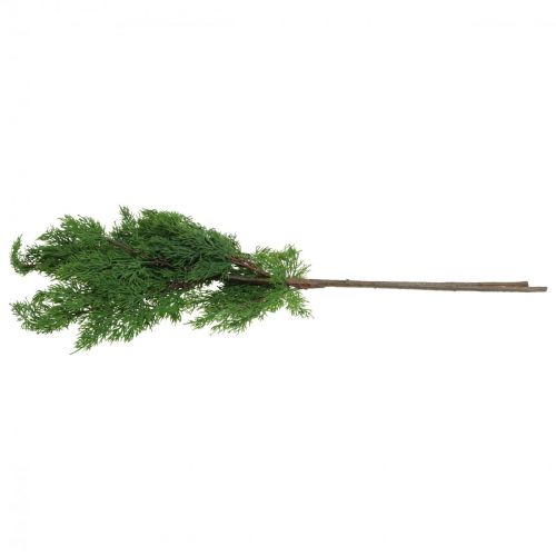 Floristik24 Rami di Natale rami di cipresso artificiale verde 72cm 2pz