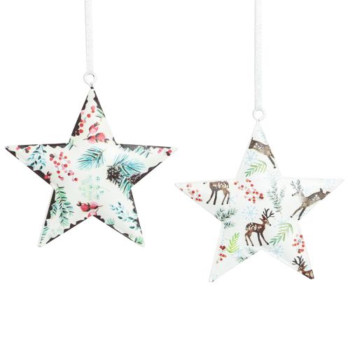 Floristik24 Decorazioni natalizie aghi di cervo stella bacche Ø8cm 6 pz