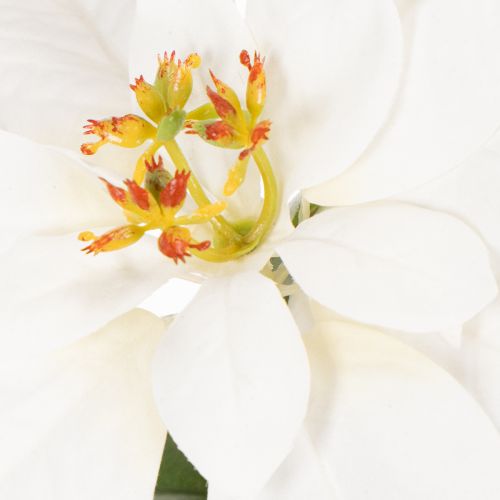 Stella di Natale artificiale, bianca, a fiore grande, pianta decorativa, 40 cm | Floristik24.it