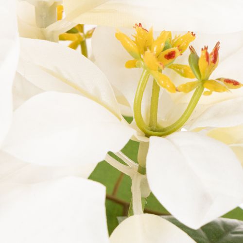 Stella di Natale artificiale, bianca, a fiore grande, pianta decorativa, 40 cm | Floristik24.it