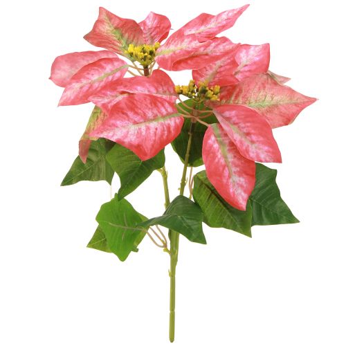 Stella di Natale artificiale rosso rosa L35 cm 6 pezzi 2 mazzi