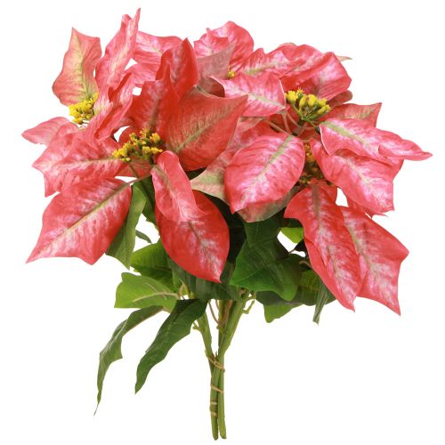 Prodotto Stella di Natale artificiale rosso rosa L35 cm 6 pezzi 2 mazzi