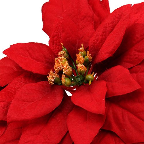 Floristik24 Stella di Natale rossa 57 cm 1p