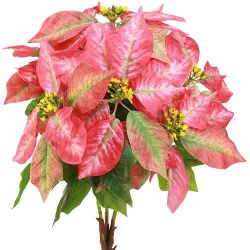 Floristik24 Stella di Natale rossa rosa Stella di Natale artificiale L53cm