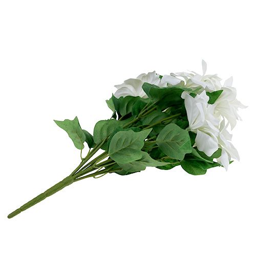 Prodotto Mazzo di stelle di Natale bianco L45cm