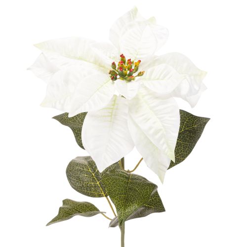 Stella di Natale artificiale bianca, grande ramo decorativo fiorito, 65 cm, 2 pezzi acquistare | Floristik24.it