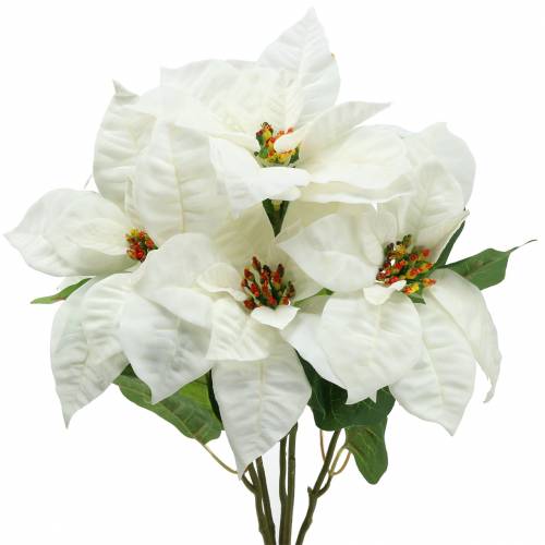 Floristik24 Poinsettia Bouquet bianco 52cm