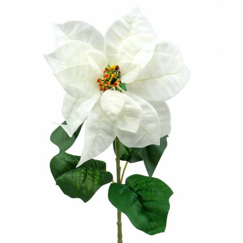 Floristik24 Stella di Natale fiore artificiale bianco 67cm